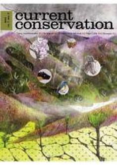 current-conservation