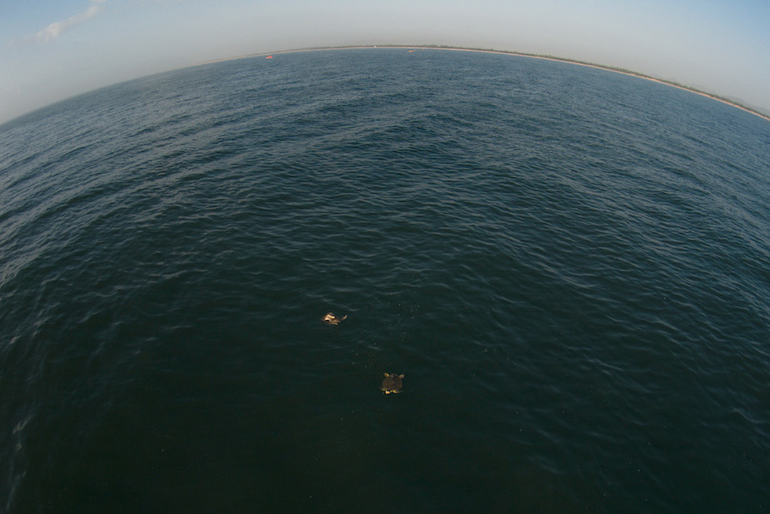 kalyan-varma-rushikulya