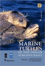 marine-turtles-book-240x1171_4