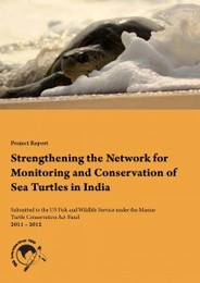 mtcareport2011-12-212x300