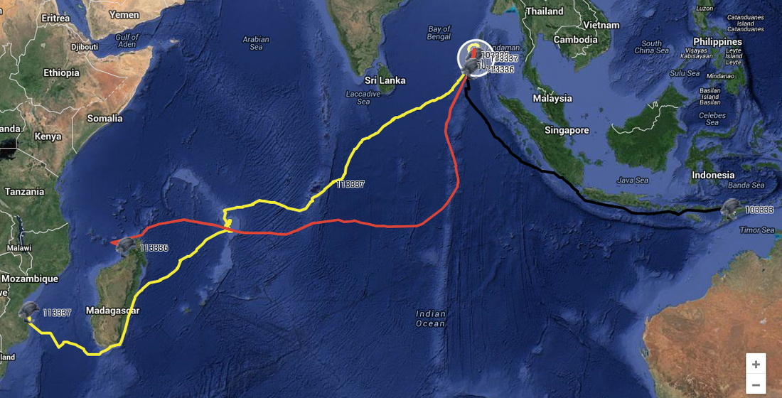 ptt-east-and-west_orig